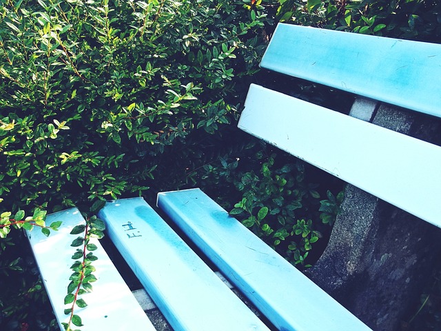 费拉拉：没人规定尤文这赛季必须夺冠，但争前四他们仍需提高