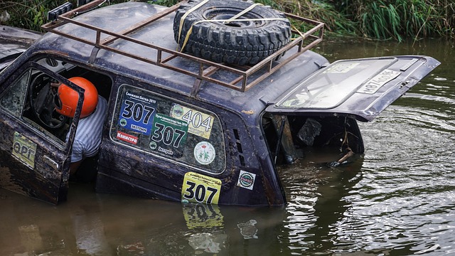位选手的高 位选手的高