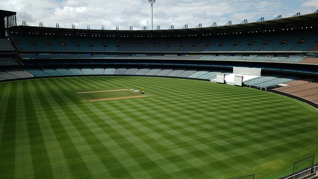 德佬的坚定 德佬的坚定