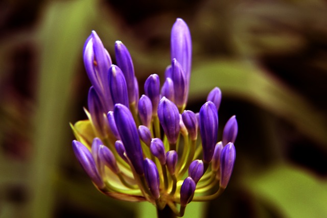 个被称为 个被称为