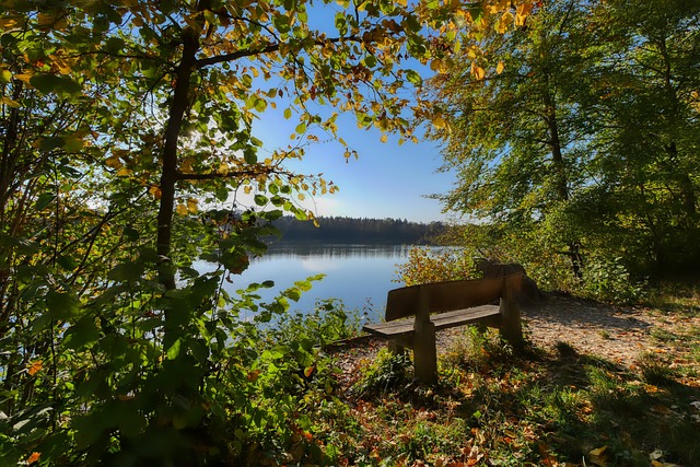 季后赛中走 季后赛中走