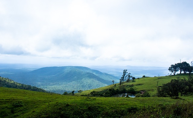 库里12三分爆砍50+擒熊勇士升第5,约老师60+10+10三双丢关键罚球.