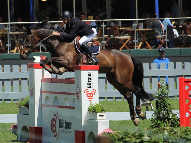 国际奥委会：俄罗斯篡改兴奋剂数据是对全世界的侮辱，将实施最严厉制裁.