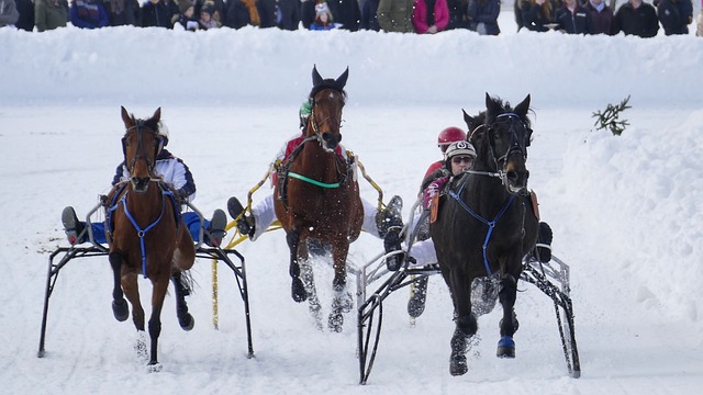 講述了女主 講述了女主
