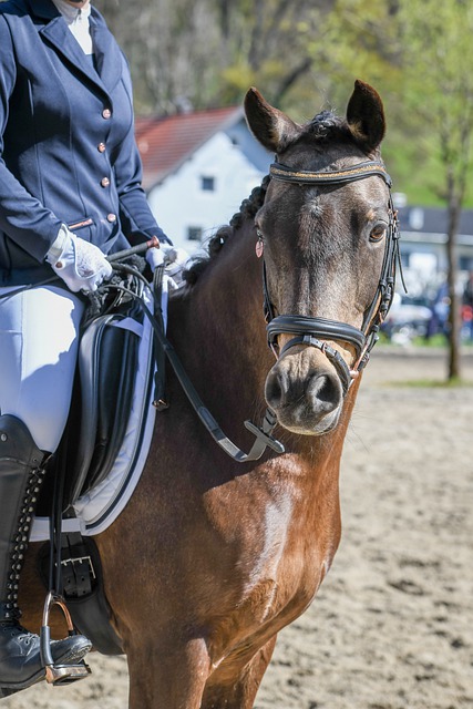 案例為基礎 案例為基礎