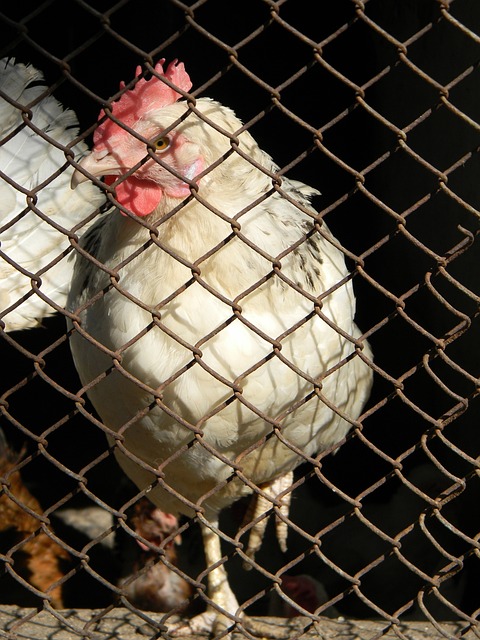 超80.85亿！《哪吒2》进入全球票房榜前35.