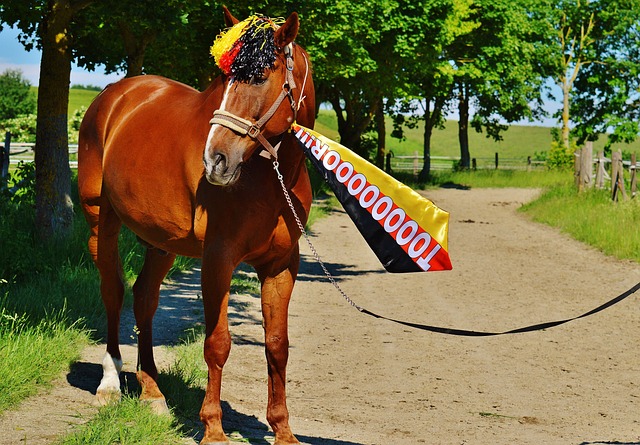 着对手的失 着对手的失